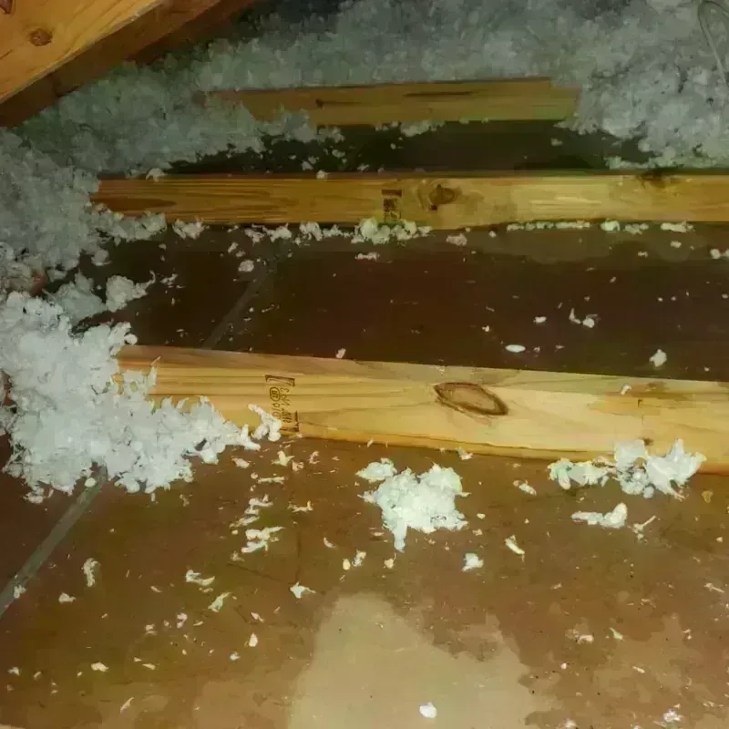 Attic Water Damage in Bridgeport, MI