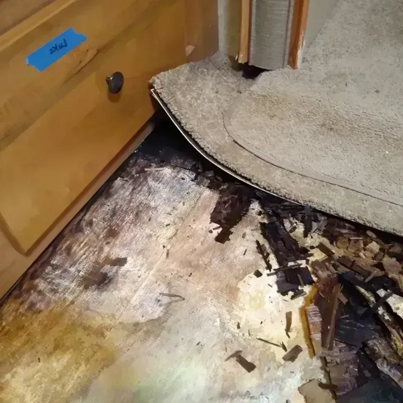 Best Wood Floor Water Damage Service in Bridgeport, MI